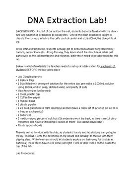 dna extraction lab questions answers.